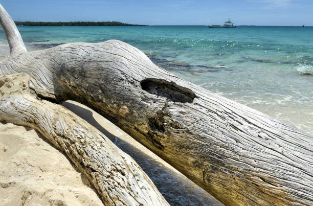istock Beach along Isla Catalina, Dominican Republic 927646342