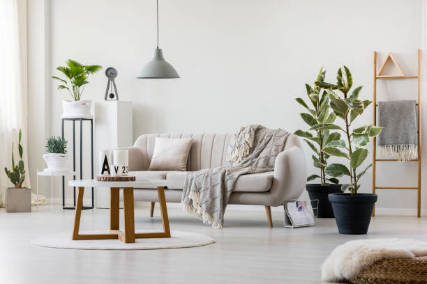 istock Living room with elegant couch 927646346