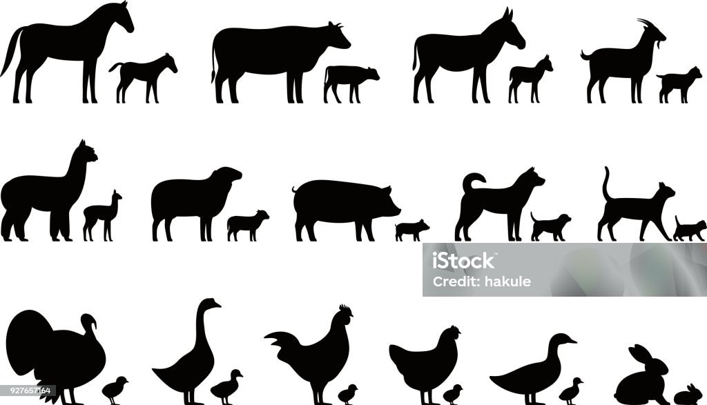 Livestock, Farm animals and their kids,  black icons set, vector illustration Icon Symbol stock vector