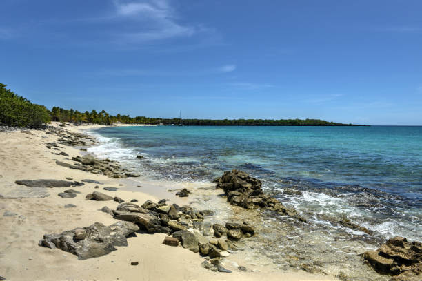 istock Beach along Isla Catalina, Dominican Republic 927667456