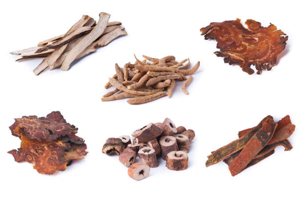 istock chinese herbal medicine 927681622