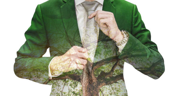 istock Double Exposure Businessman in Green Suit with Big Tree, isolated on white background 927685030