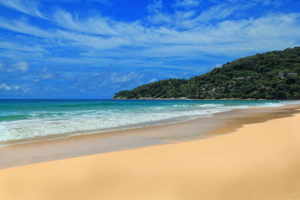 Desert tropical island stock photo