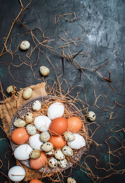 istock Multicolored chicken and quail eggs with straw and branches 927691034