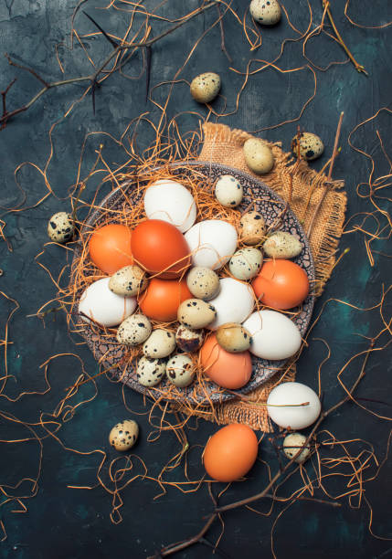 istock Multicolored chicken and quail eggs with straw and branches 927693694