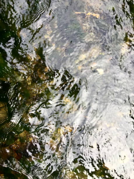 istock Overhead Shot of Fresh Water River 927705784