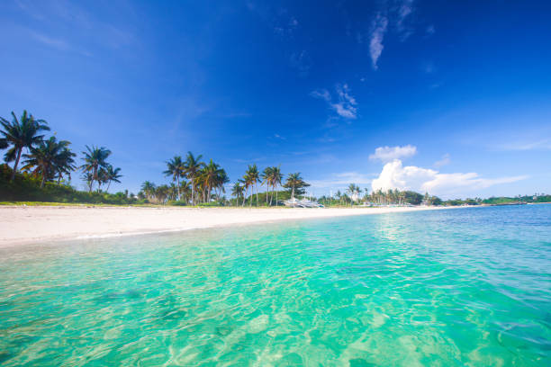istock beach and tropical sea 927708918