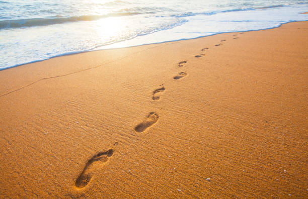 istock beach, wave and footsteps at sunset time 927711450