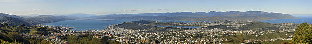 istock Wellington Panorama, New Zealand 92771381
