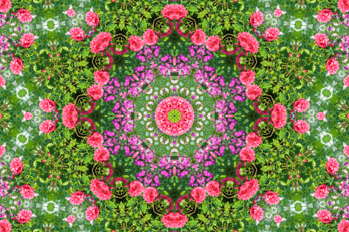 abstract background of floral pattern of a kaleidoscope. pink blue green background fractal mandala. abstract kaleidoscopic arabesque. geometrical ornament flower pattern