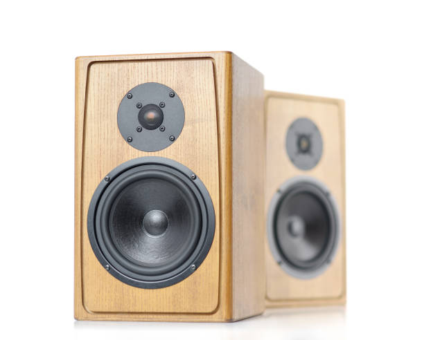 istock Two wooden speakers isolated on white background. 927720044
