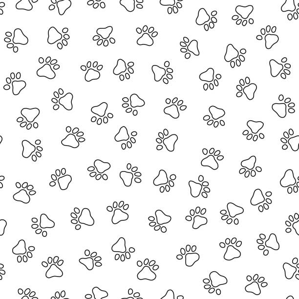 ilustrações de stock, clip art, desenhos animados e ícones de footprint pattern of the animal, - seamless padding backgrounds wallpaper