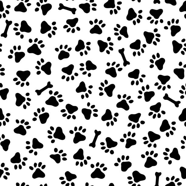 ilustrações de stock, clip art, desenhos animados e ícones de footprint pattern of the animal, - seamless padding backgrounds wallpaper
