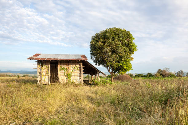 istock landscape Thailand whit a small house 927721180