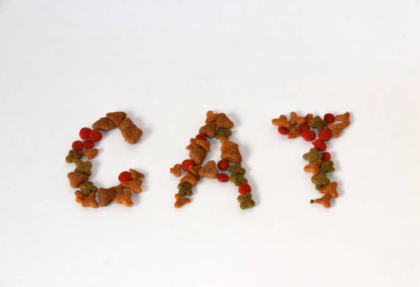 istock CAT text from cat food on white background. 927733428