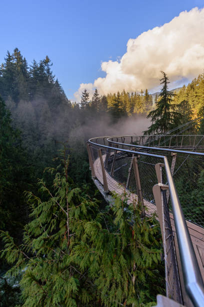 istock semi-circular, suspension bridge on a rock above a mountain river 927733556