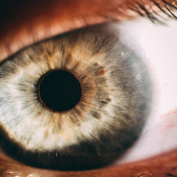 istock enlarged image of an eye iris made with a slit lamp 927734264