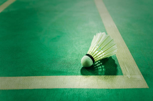 istock badminton courts with shuttlecocks in the foreground 927734506