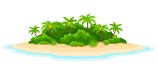 Illustration of tropical island in ocean. Landscape with ocean and palm trees. Travel background Illustration of tropical island in ocean. Landscape with ocean and palm trees. Travel background. coconut borders stock illustrations