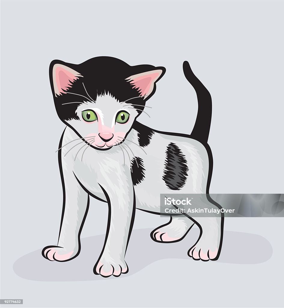 cat  Animal stock vector