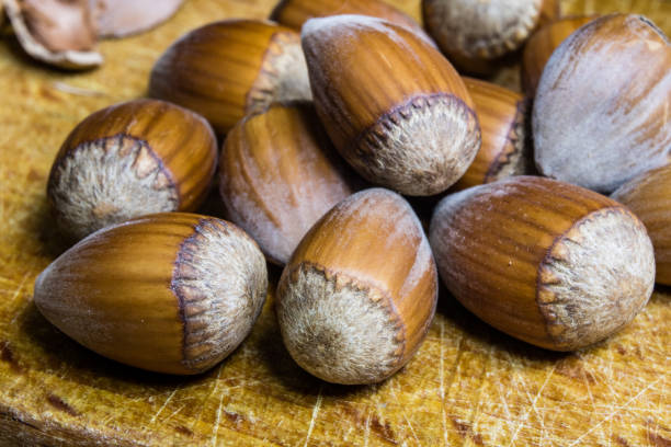 istock Tasty hazelnuts on a wooden kitchen table. Forest specialties and kitchen accessories. Dark background. 927753428