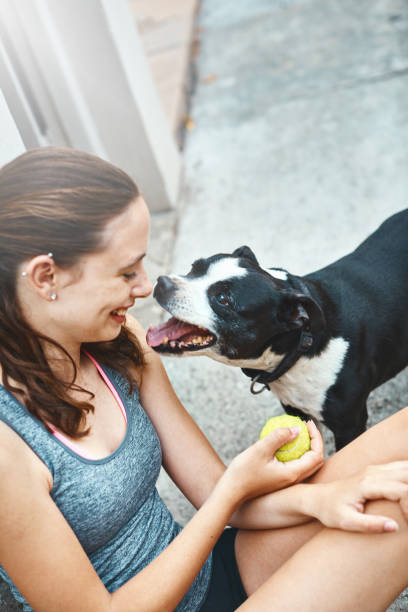 istock Dog begging its pretty, smiling owner to play ball 927756594
