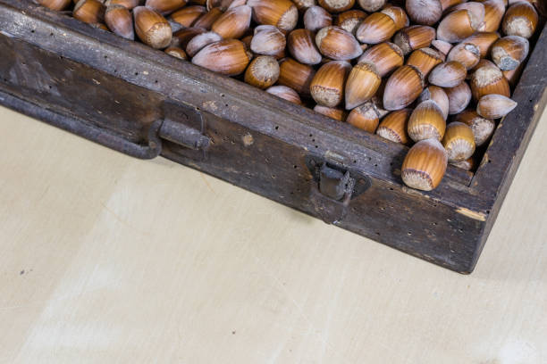 Tasty hazelnuts on a wooden kitchen table. Forest specialties and kitchen accessories. Dark background.
