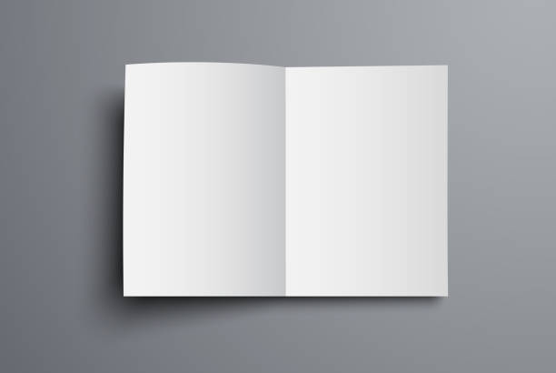 ilustrações de stock, clip art, desenhos animados e ícones de mockup of the vector brochure is a top view of the open first page. - book open vector page