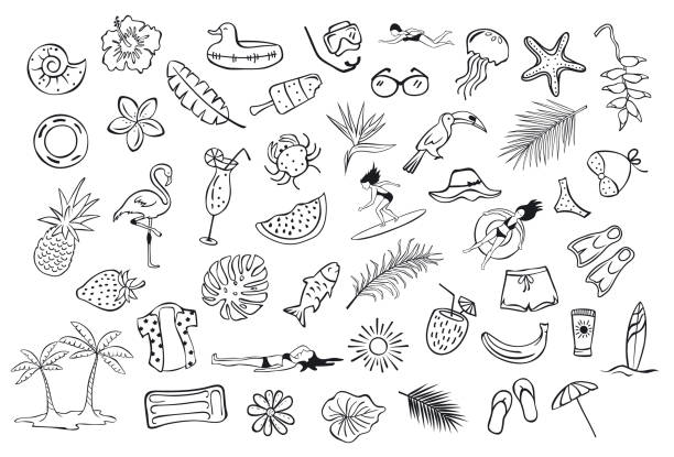 collection set of hand drawn outlined summertime item objects  sketchy doodles, flamingo, toco toucan pineapple watermelon surfer fish leaf palms people floats clothers collection set of hand drawn outlined summertime item objects  sketchy doodles, flamingo, toco toucan pineapple watermelon surfer fish leaf palms people floats clothers hawaii islands illustrations stock illustrations
