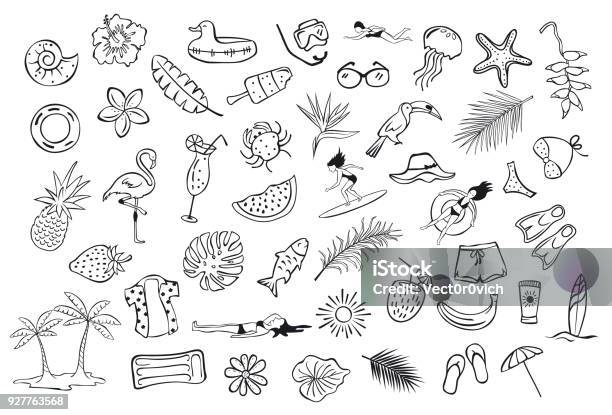 Collection Set Of Hand Drawn Outlined Summertime Item Objects Sketchy Doodles Flamingo Toco Toucan Pineapple Watermelon Surfer Fish Leaf Palms People Floats Clothers Stock Illustration - Download Image Now