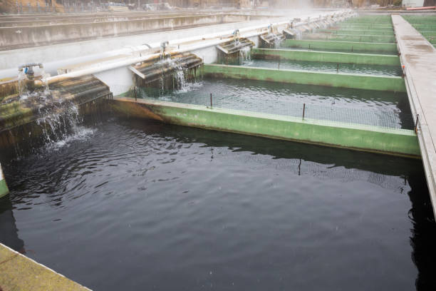 istock Tanks outdoors of fish farm 927768574