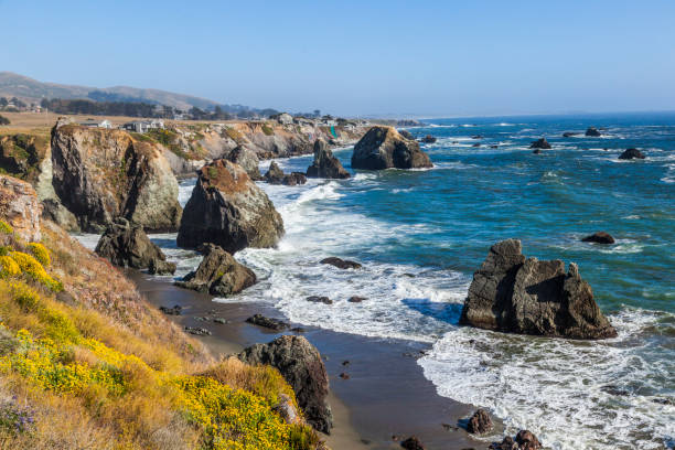 wild costa del pacífico - california coastline beach cliff fotografías e imágenes de stock