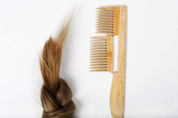 istock Hair and a broken hair brush. 927781532