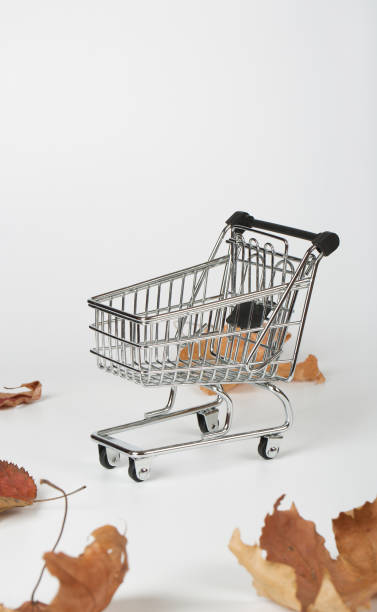 istock Shopping cart surrounded by dried leaves. 927785956