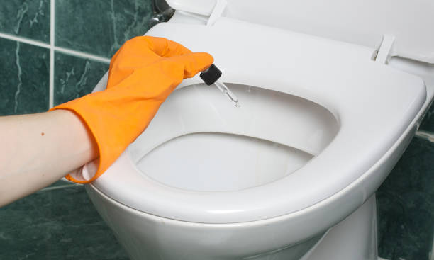 istock Bathroom cleaning with natural product - essential oil. 927789246