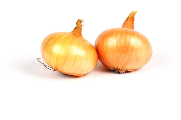 Two pieces of onion on a gray surface. Closeup