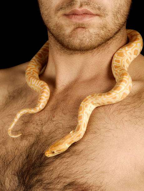 Male  snakes beard stock pictures, royalty-free photos & images
