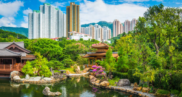 Idyllic park tradtional tea house pagodas skyscrapers Hong Kong China The traditional wooden pavilions in the tranquil green public parkland of Nan Lian Gardens overlooked by the high rise apartment buildings of Nam Shan Mei, Hong Kong, China. kowloon stock pictures, royalty-free photos & images