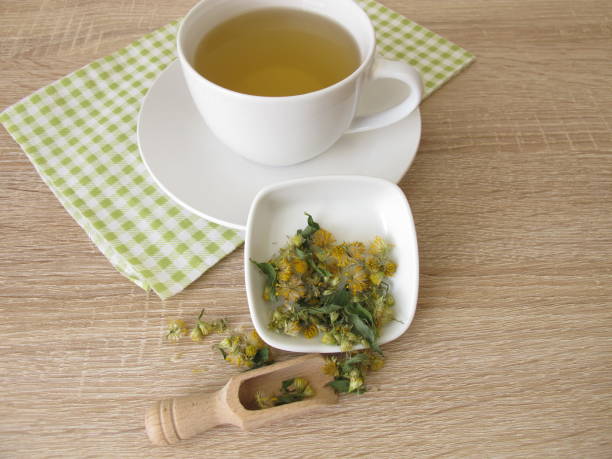 istock Herbal tea with dried european goldenrod 927802148