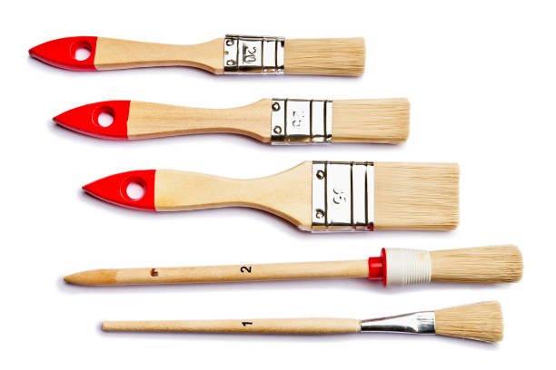 Set of painting brushes and bristle isolated