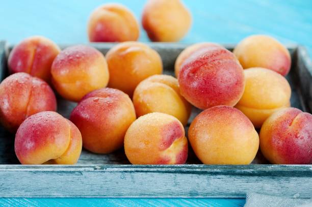istock Peaches tasty fresh fruit in a basket 927810126