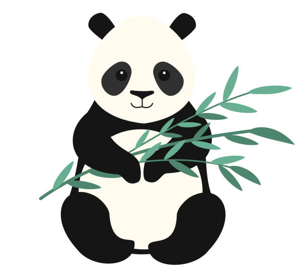 illustrazioni stock, clip art, cartoni animati e icone di tendenza di panda isolato su sfondo bianco. illustrazione vettoriale. - panda mammifero con zampe