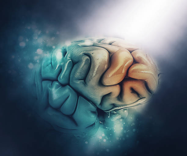 istock 3D medical figure of a brain with frontal lobe highlighted 927810780