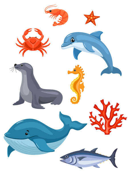 illustrazioni stock, clip art, cartoni animati e icone di tendenza di animali marini isolati su sfondo bianco. illustrazione vettoriale. - dolphin animal sea underwater