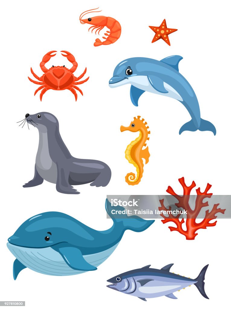 Sea animals isolated on white background. Vector illustration. Seal - Animal stock vector