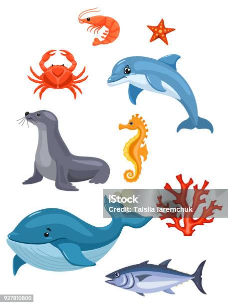 Sea Animals Isolated On White Background Vector Illustration Stock Illustration - Download Image Now