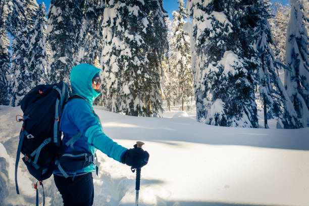 istock A Hiker trekking in winter woods. 927813418