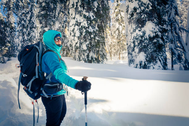 istock A Hiker trekking in winter woods. 927813422