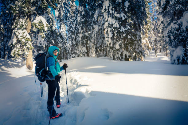 istock A Hiker trekking in winter woods. 927813434
