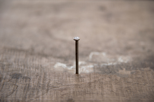 Close up the nail or  tack on wooden floor